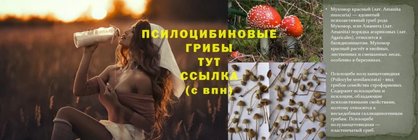 ECSTASY Козельск