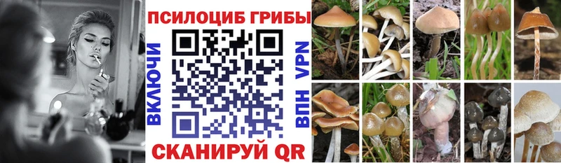 Псилоцибиновые грибы Cubensis Новотитаровская