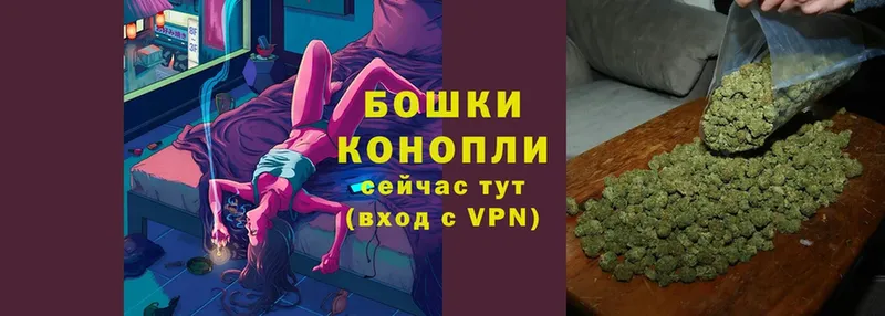 Канабис семена  где купить наркоту  Новотитаровская 